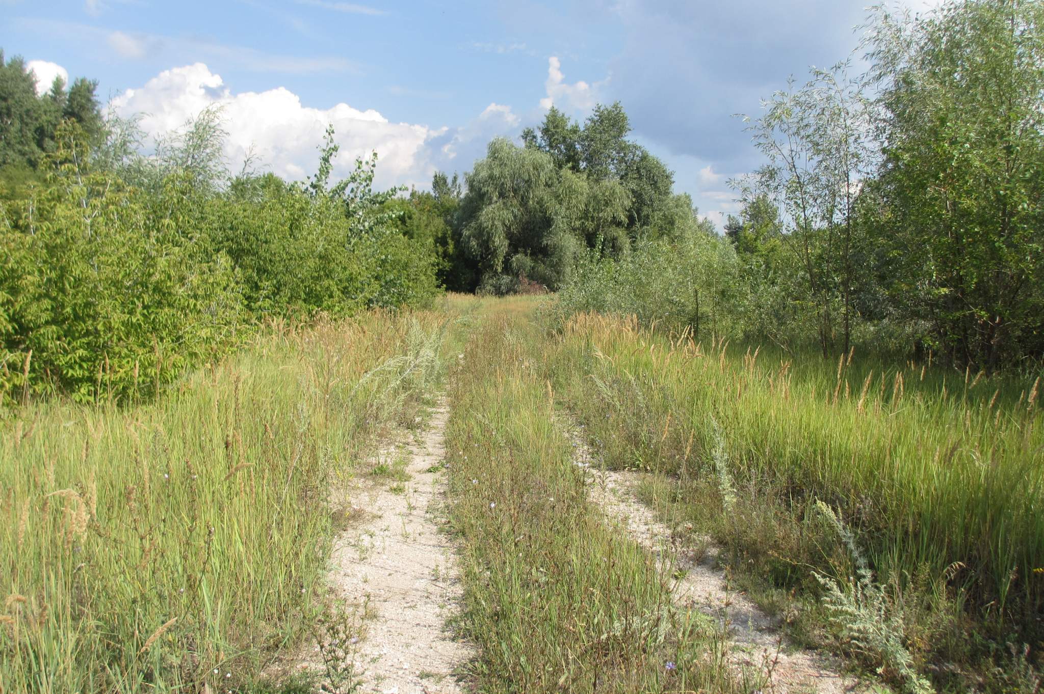 Участок на продажу в Жигулевске, Морквашинская улица фото №3