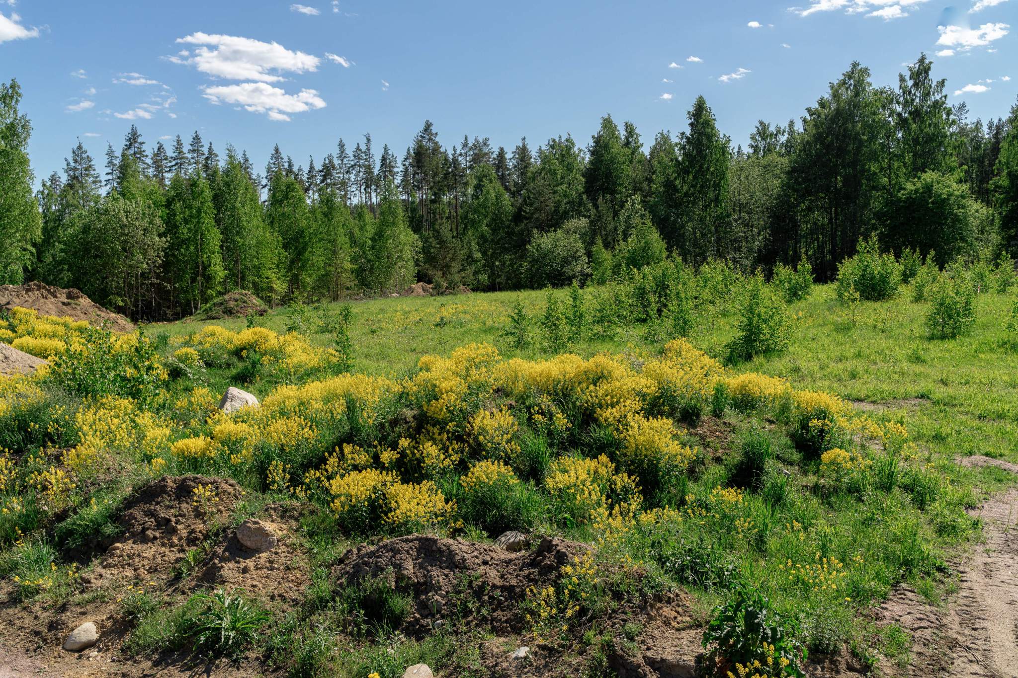 Продам земельный участок 982 м.кв.