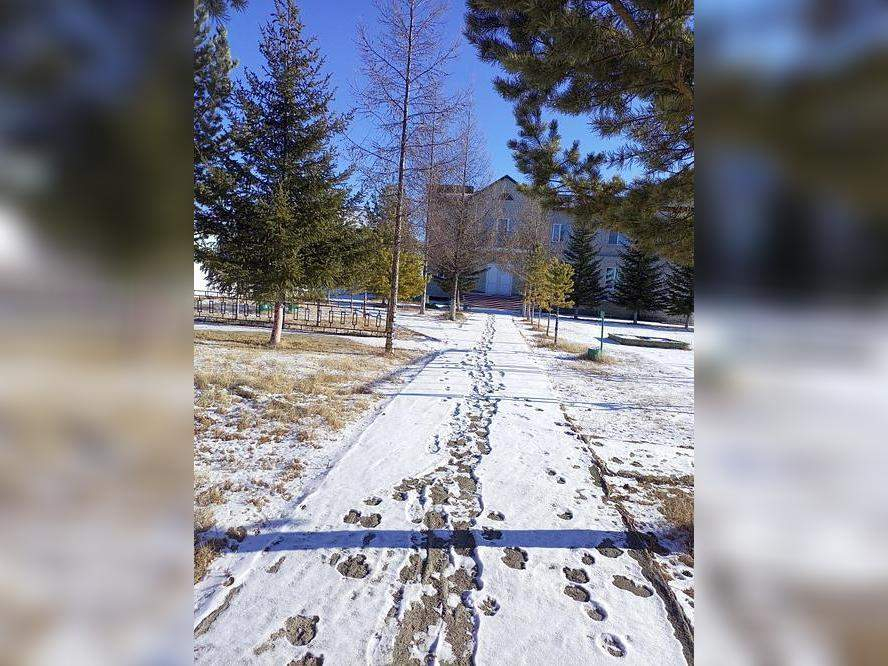 Продам торговое помещение 1823 м.кв.
