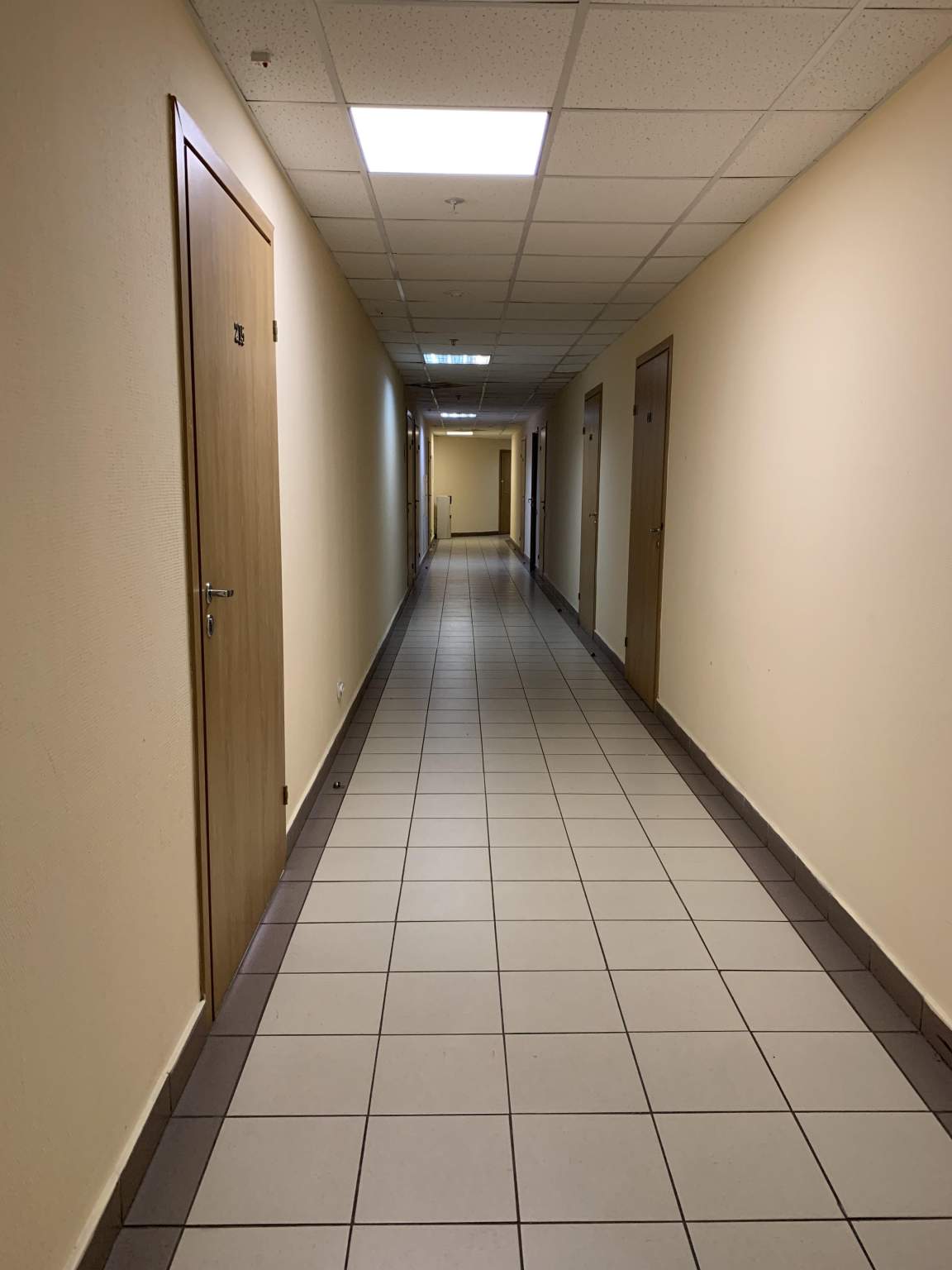 Сдам в аренду офис 56 м.кв.