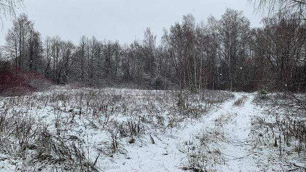 Участок на продажу в Домодедово, Новое Востряково-1 тер. СНТ фото №15