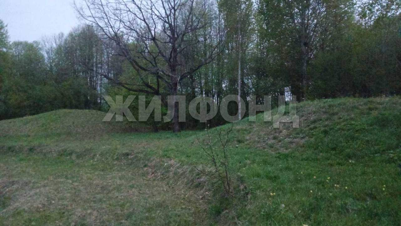 Дом на продажу в Воронинке, Полевая улица фото №4