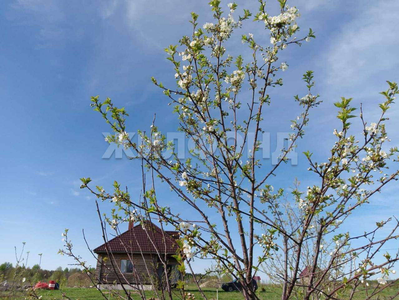 Дом на продажу в Воронинке, Полевая улица фото №6