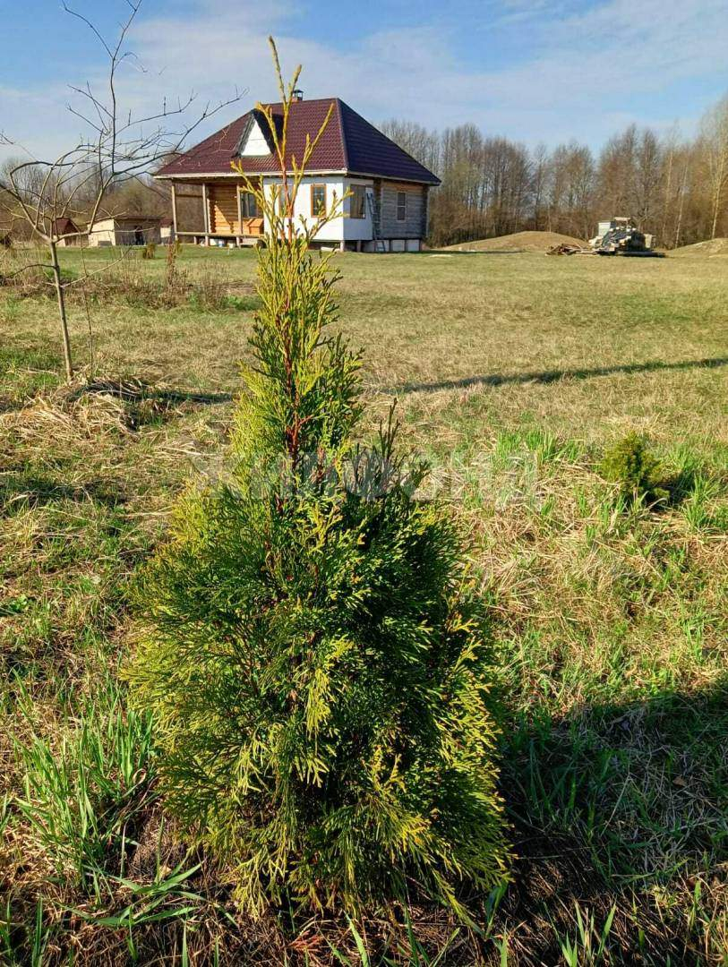 Дом на продажу в Воронинке, Полевая улица фото №3