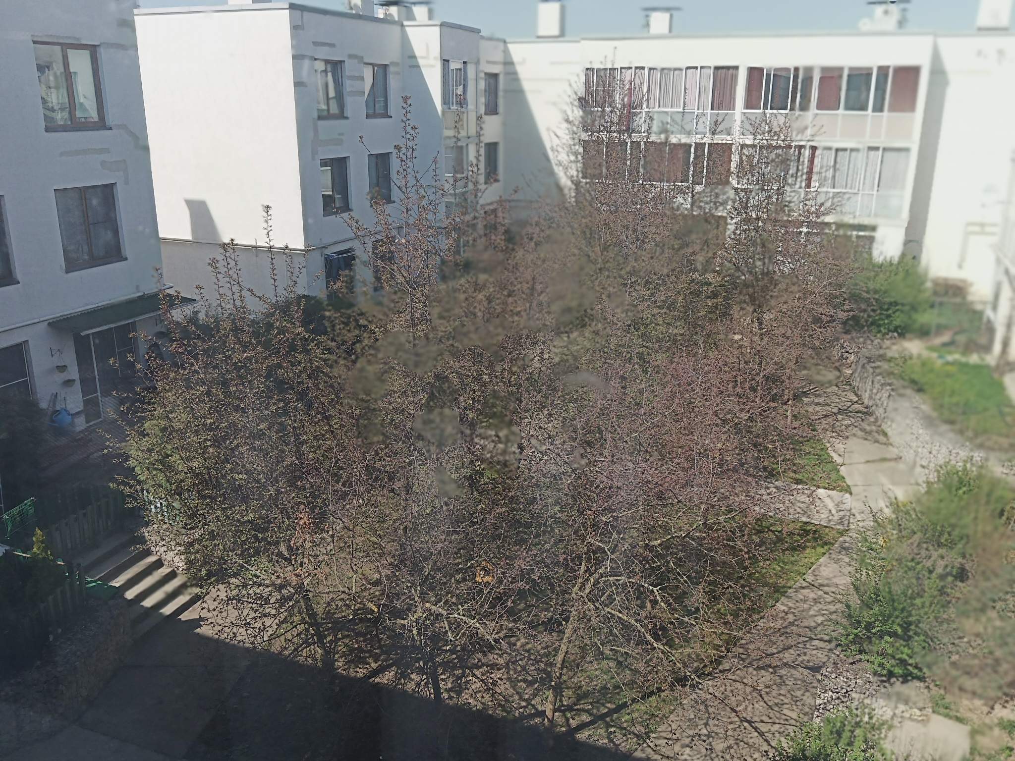 Квартира в аренду в Домодедово, Мечты улица, 24к1 фото №16