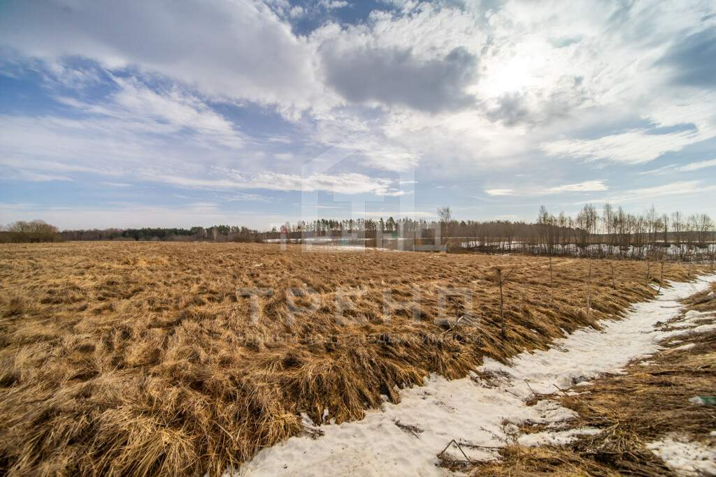 Продам земельный участок 136600 м.кв.