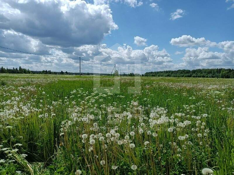 Участок на продажу в Курковице фото №1