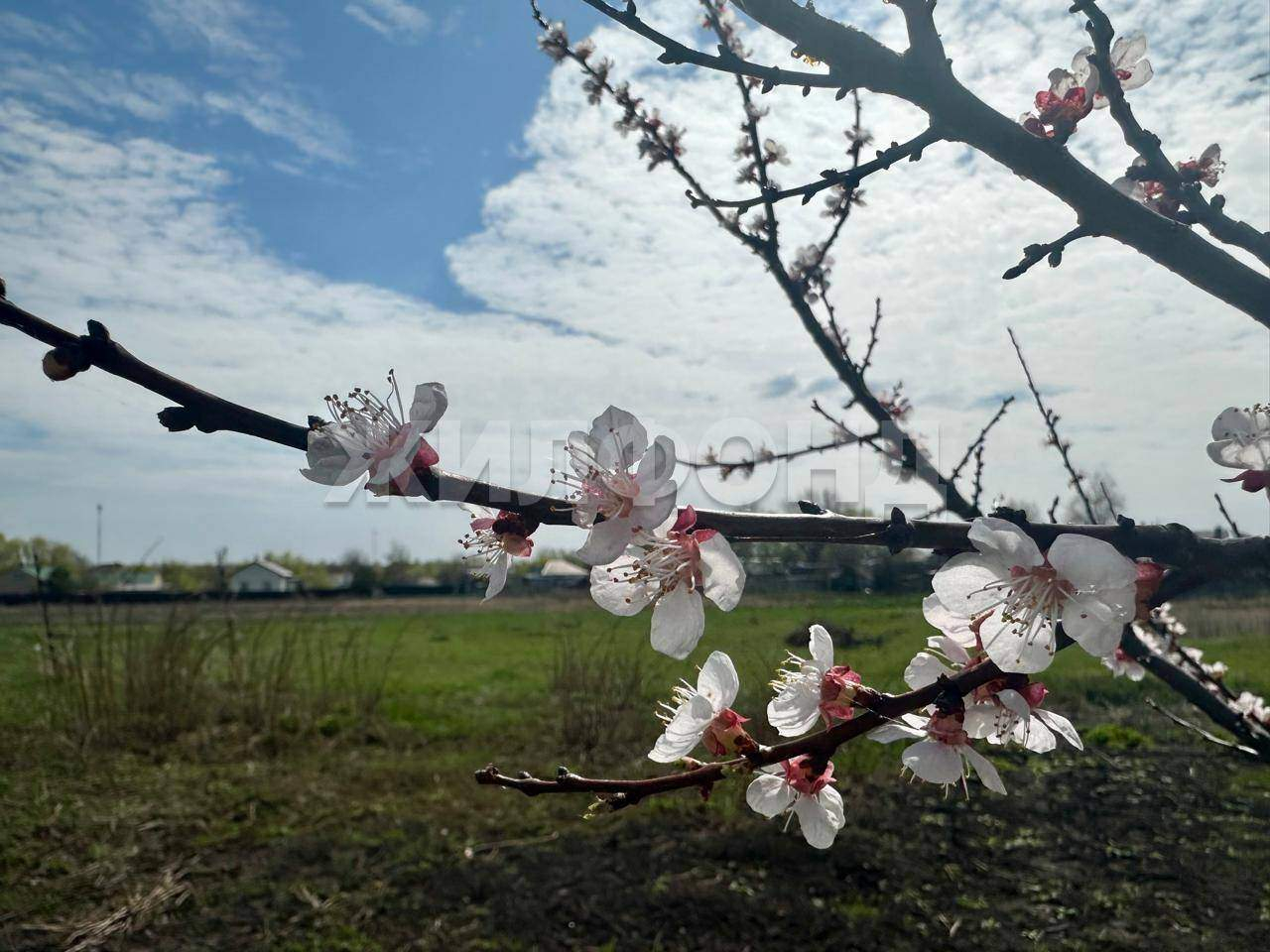 Дом на продажу в Курбатово, Пролетарская улица фото №4