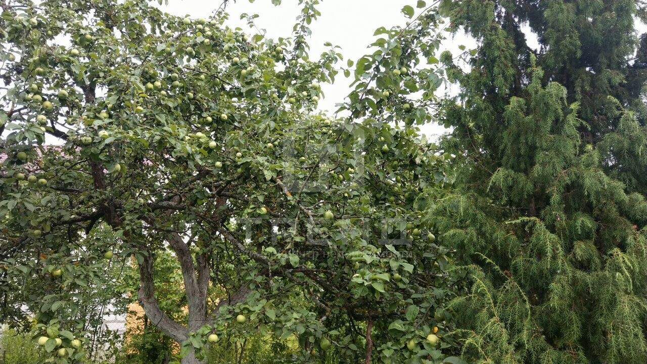 Дом на продажу в Санкт-Петербурге, 3-я линия улица фото №14