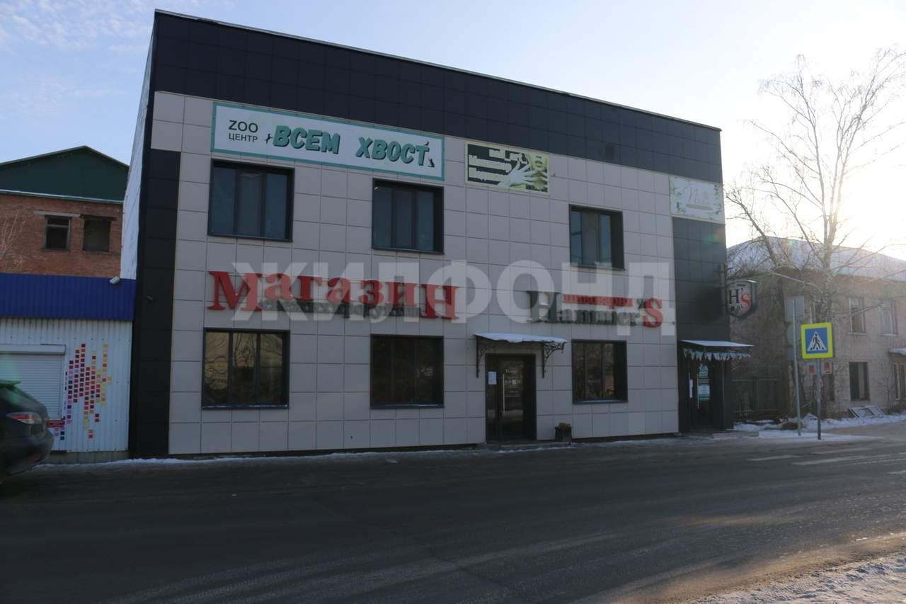 Готовый бизнес на продажу в селе Верх-Тула, Советская улица, 17А фото №1