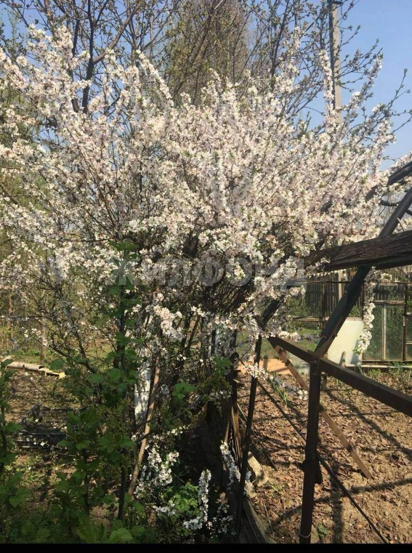 Дом на продажу в Брянске, ГСК Родина территория, стр4 фото №5