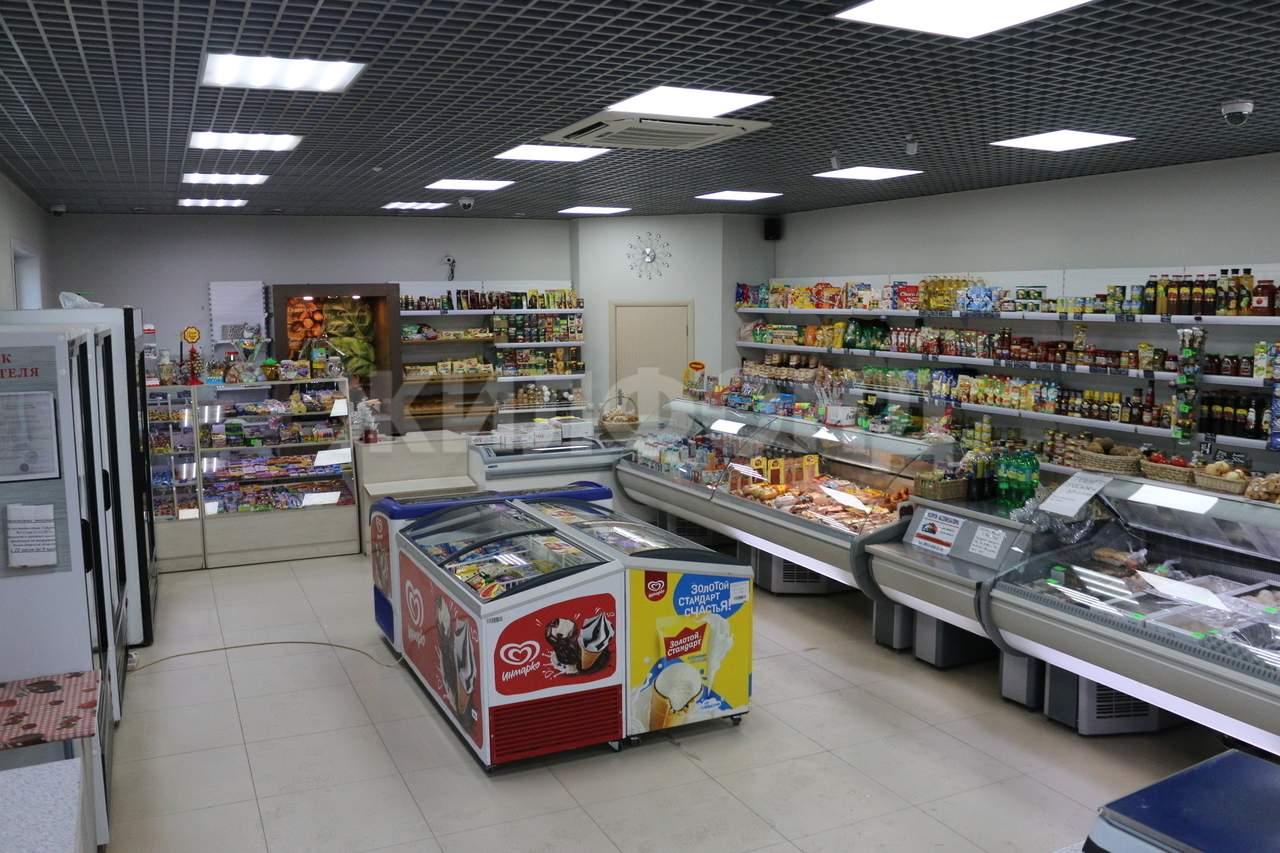 Готовый бизнес на продажу в селе Верх-Тула, Советская улица, 17А фото №2