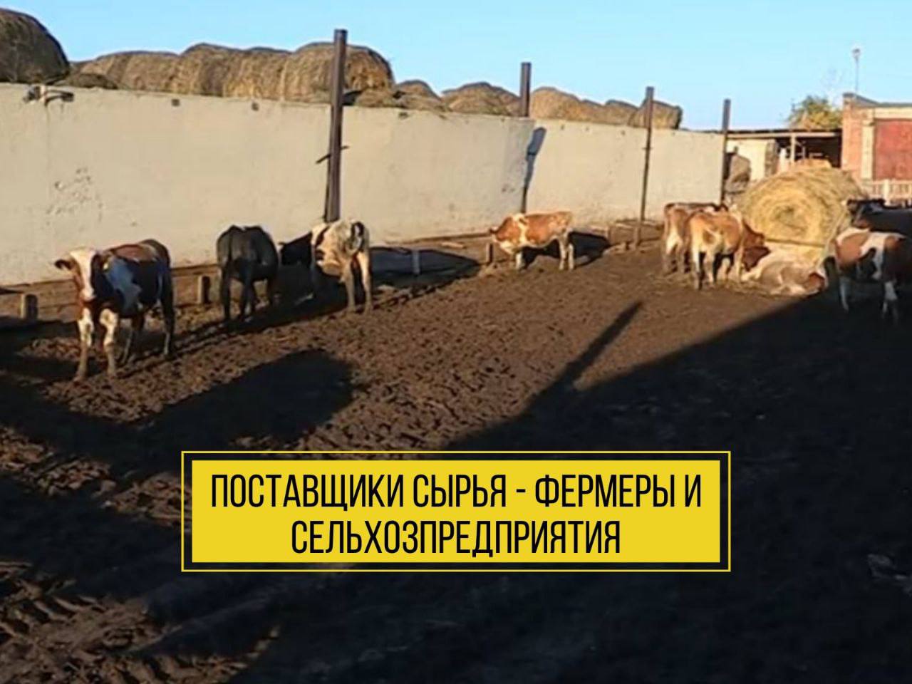 Продам помещение свободного назначения 5652 м.кв.