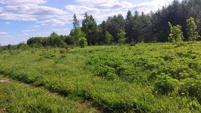 Продам земельный участок 27100 м.кв.