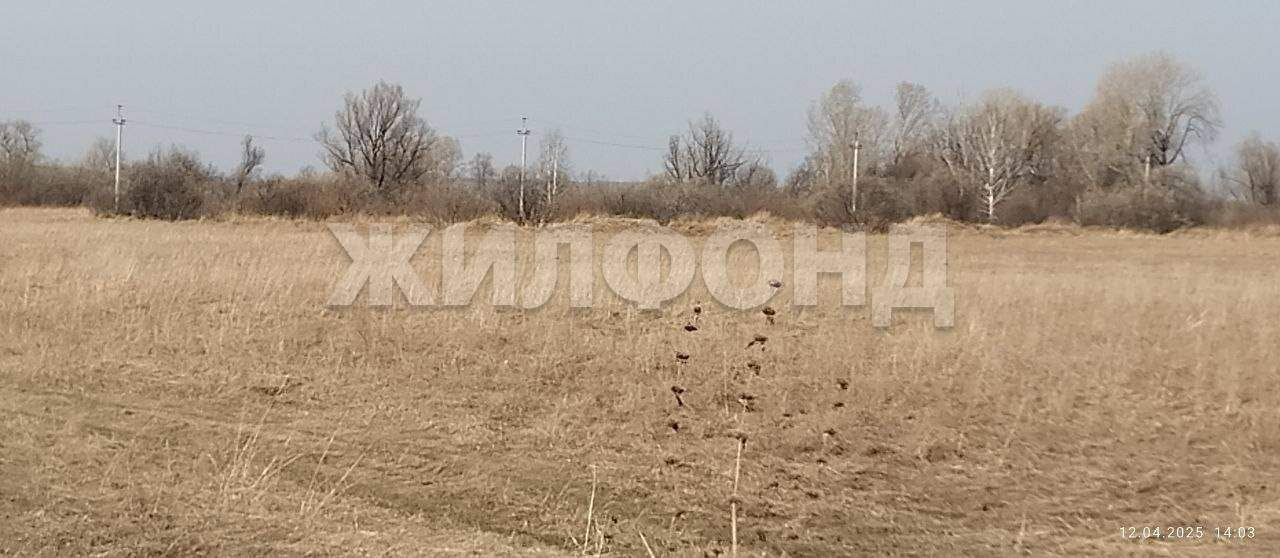Продам земельный участок 133182 м.кв.