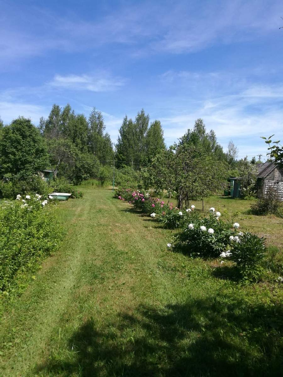 Дом на продажу в Пантелеево фото №4