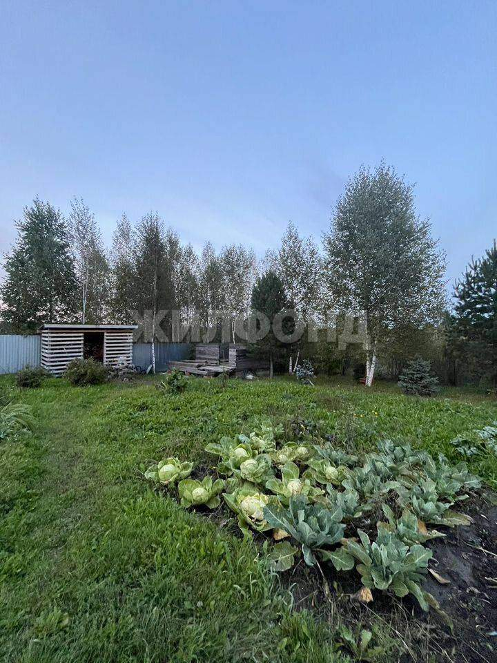 Дом на продажу в селе Корнилово, Солнечная улица фото №4
