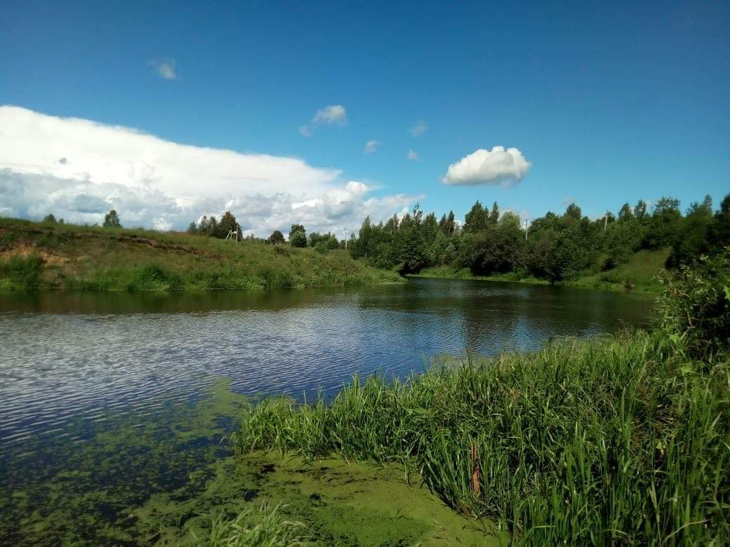 Участок на продажу в Пантелеево фото №10