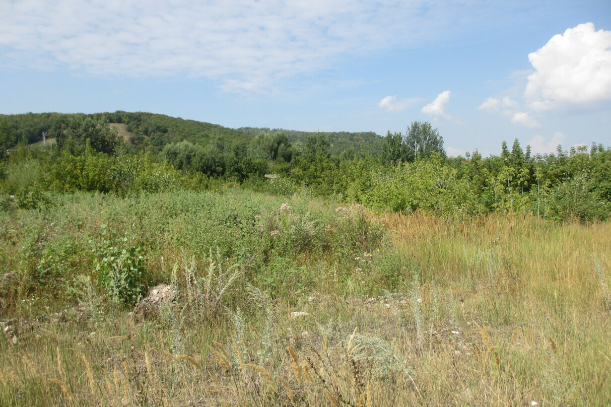 Участок на продажу в Жигулевске, Морквашинская улица фото №0