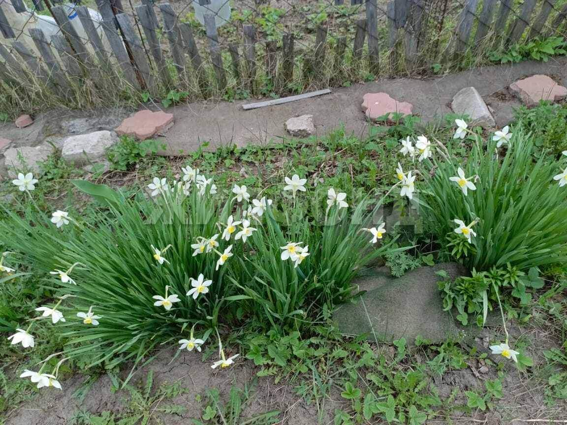 Продам земельный участок 643 м.кв.