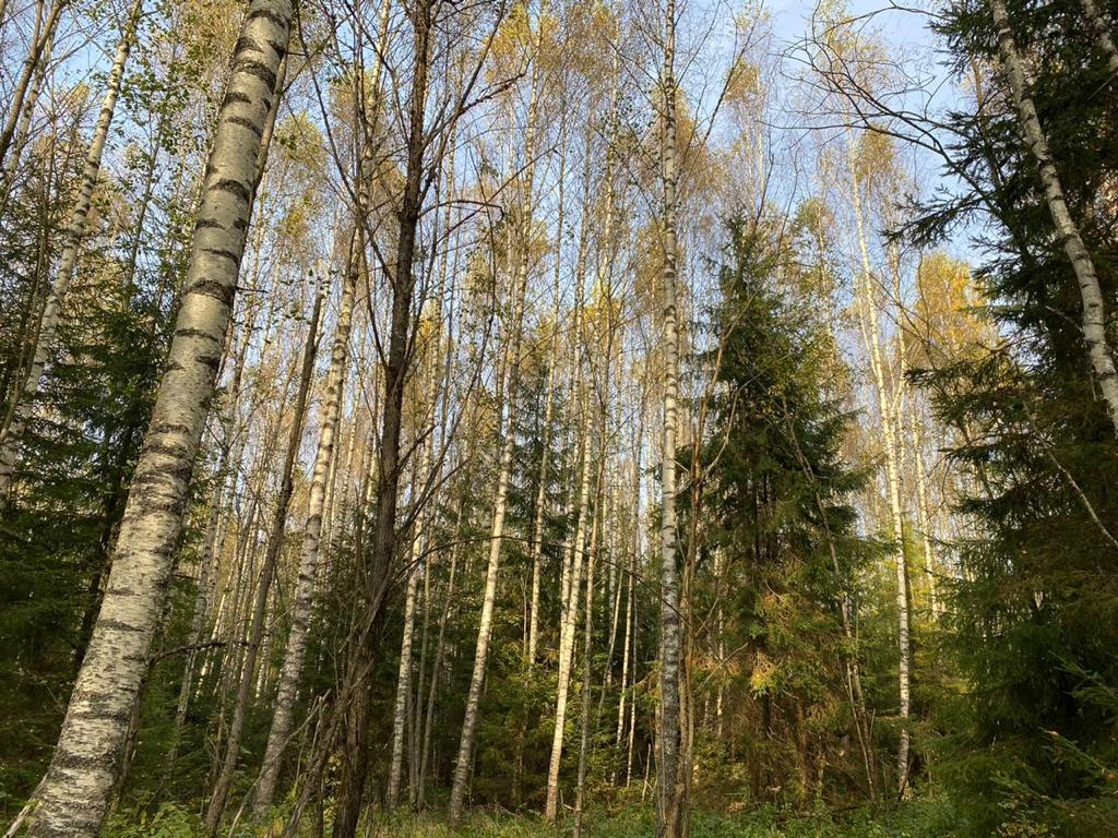 Участок на продажу в Акатово, Акатово парк территория фото №4