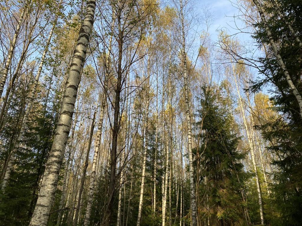 Участок на продажу в Акатово, Акатово парк территория фото №5