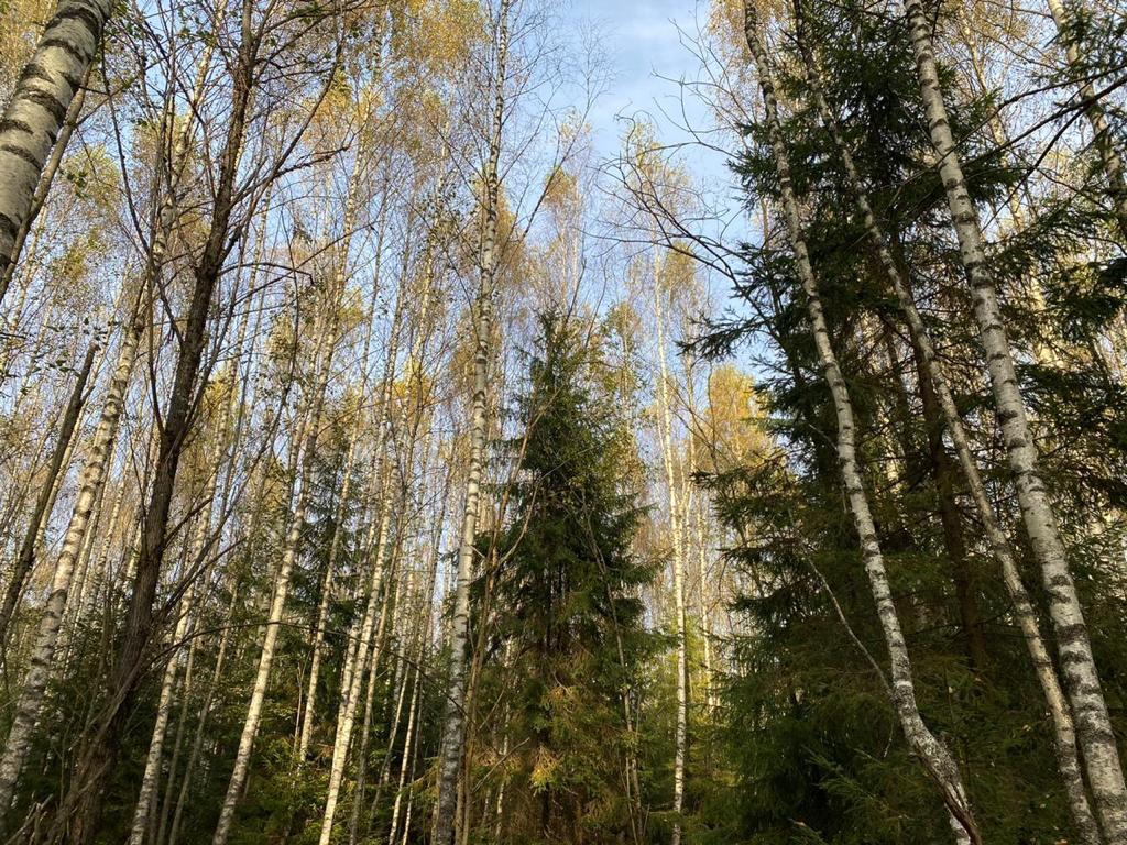 Участок на продажу в Акатово, Акатово парк территория фото №6