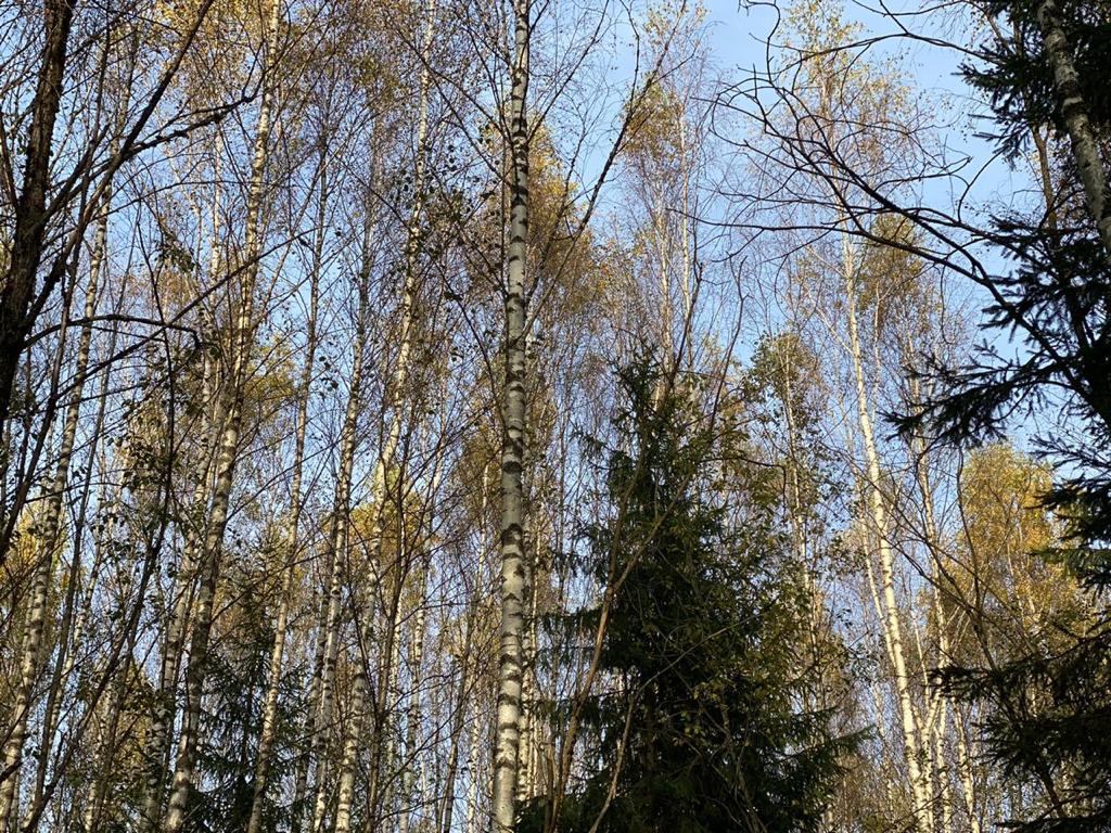 Участок на продажу в Акатово, Акатово парк территория фото №1