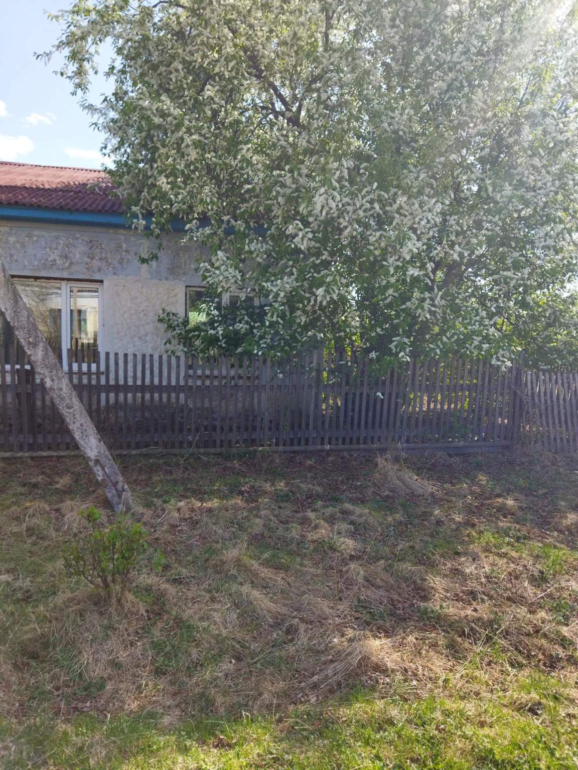 Офис на продажу в Чалбачах, Лесная улица, 17 фото №1