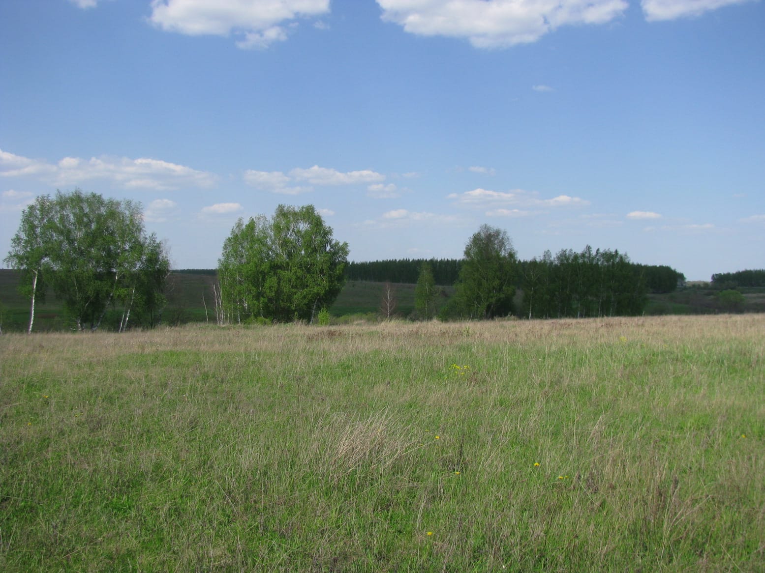 Готовый бизнес на продажу в Урусово фото №0