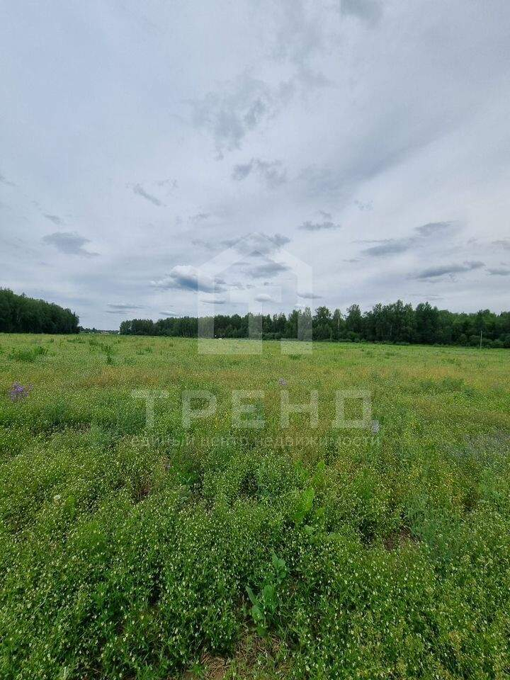Продам земельный участок 56000 м.кв.