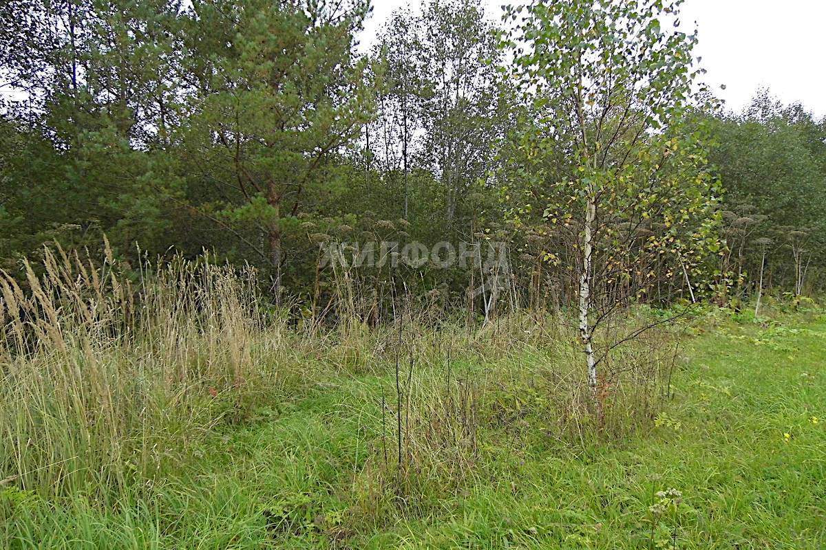 Продам земельный участок 1180 м.кв.