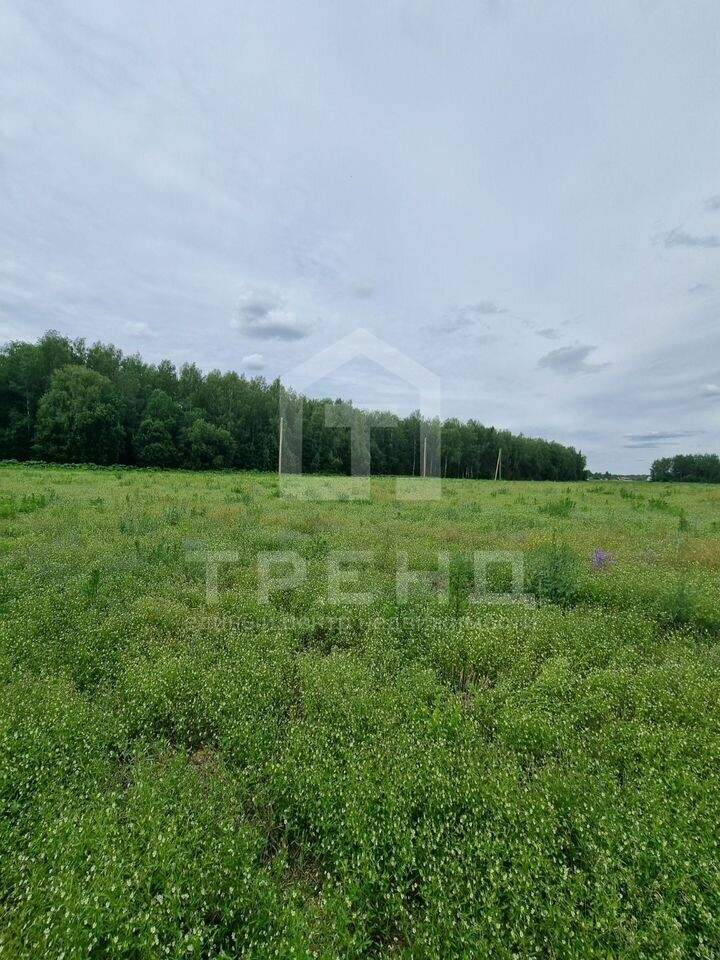 Продам земельный участок 56000 м.кв.
