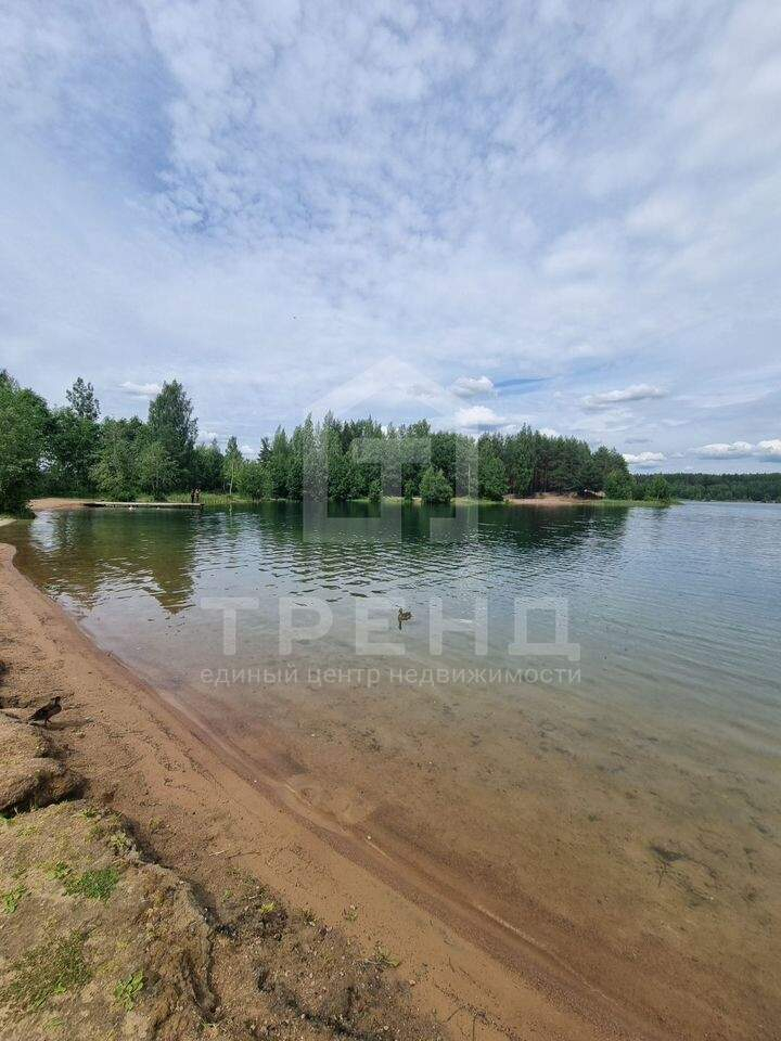 Продам земельный участок 56000 м.кв.