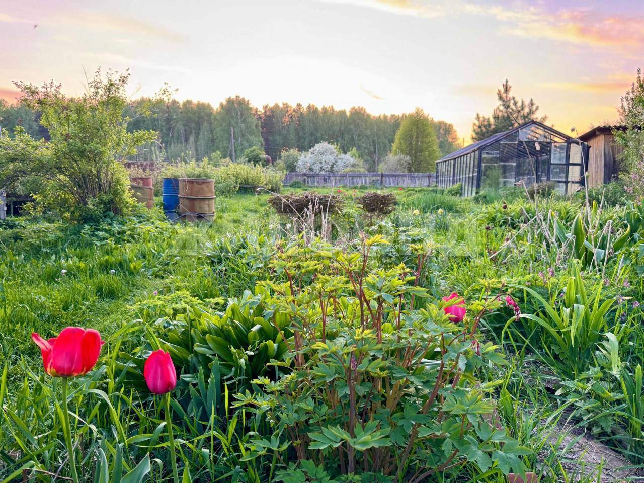 Дом на продажу в Курлеке фото №14