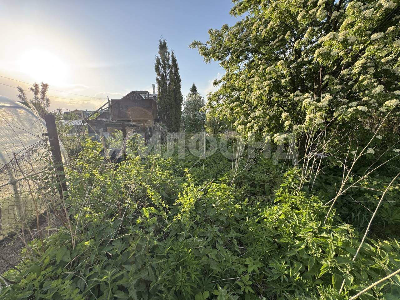 Продам земельный участок 585 м.кв.
