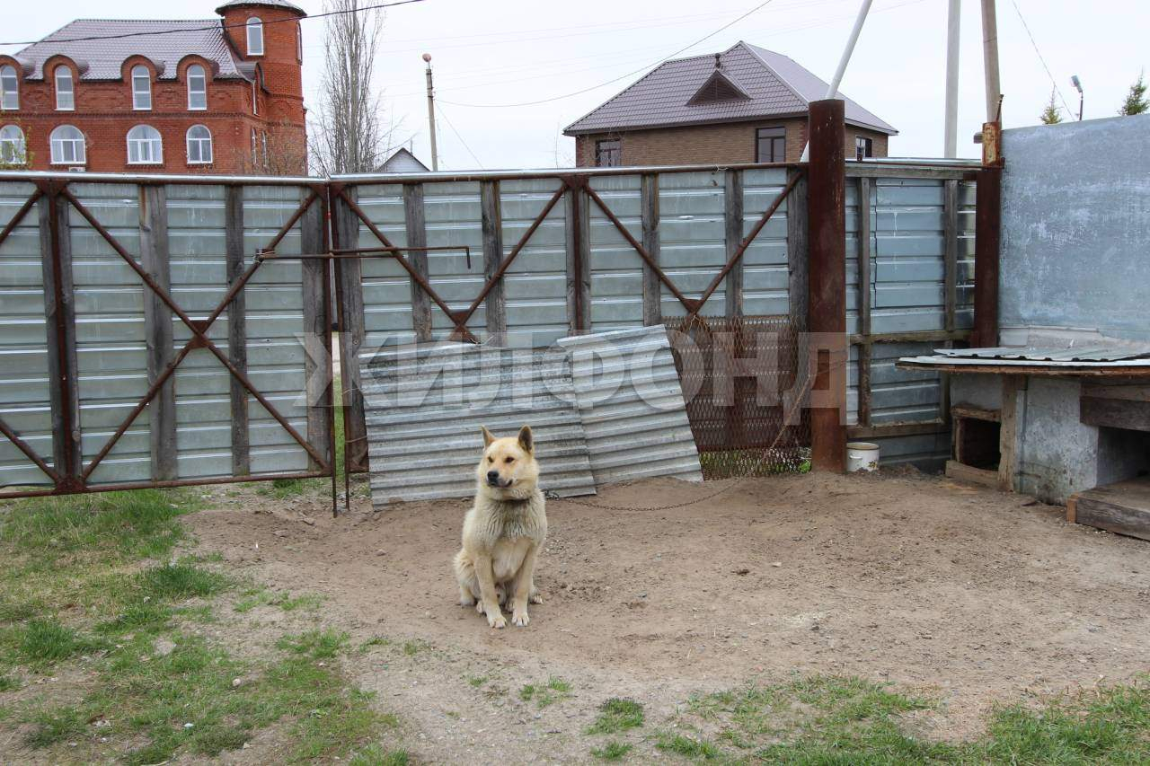 Дом на продажу в Сингапае, Круг Г-2 улица фото №15