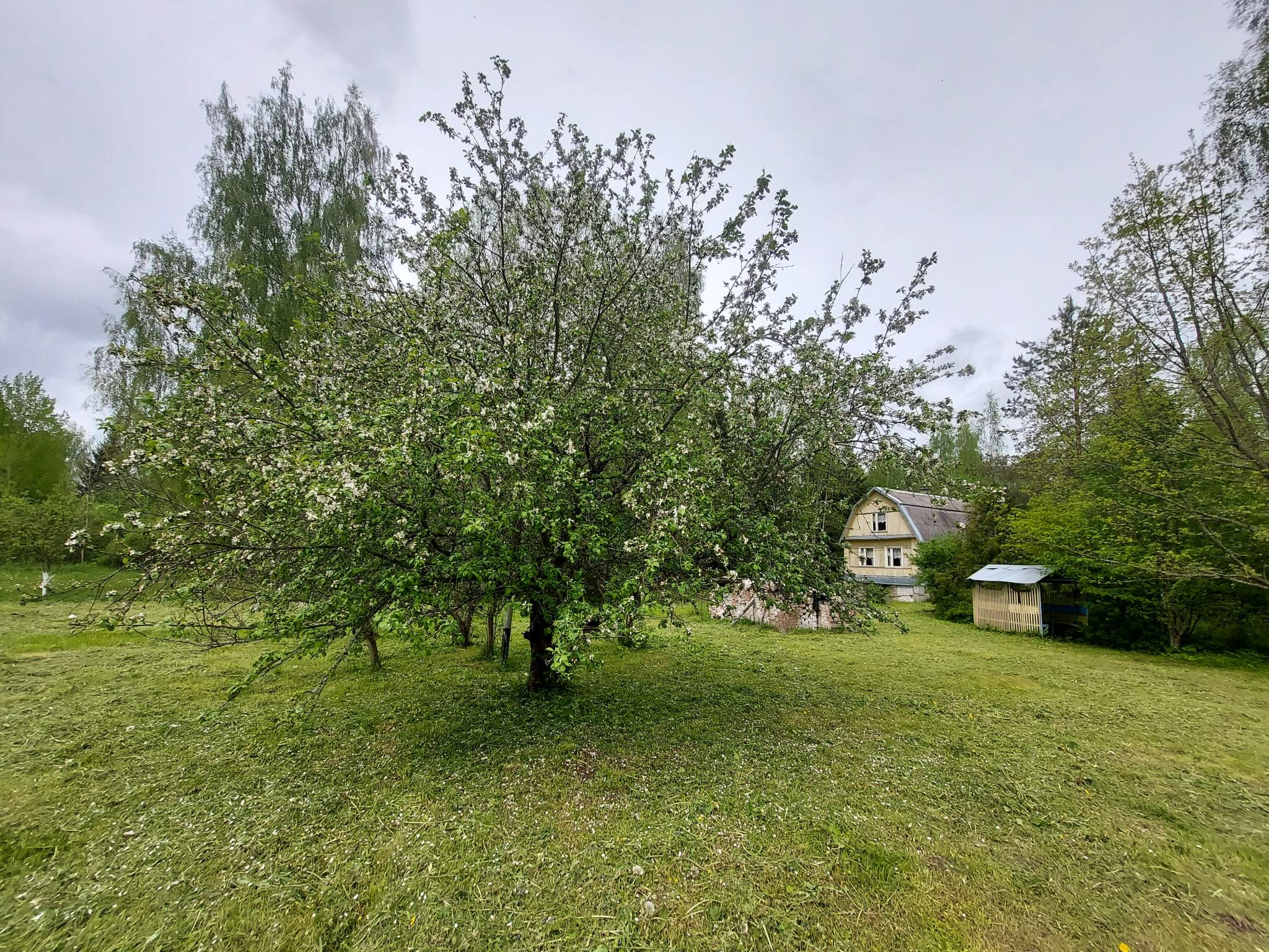 Дом на продажу в Ротном Двору, Центральная улица, 37А фото №5