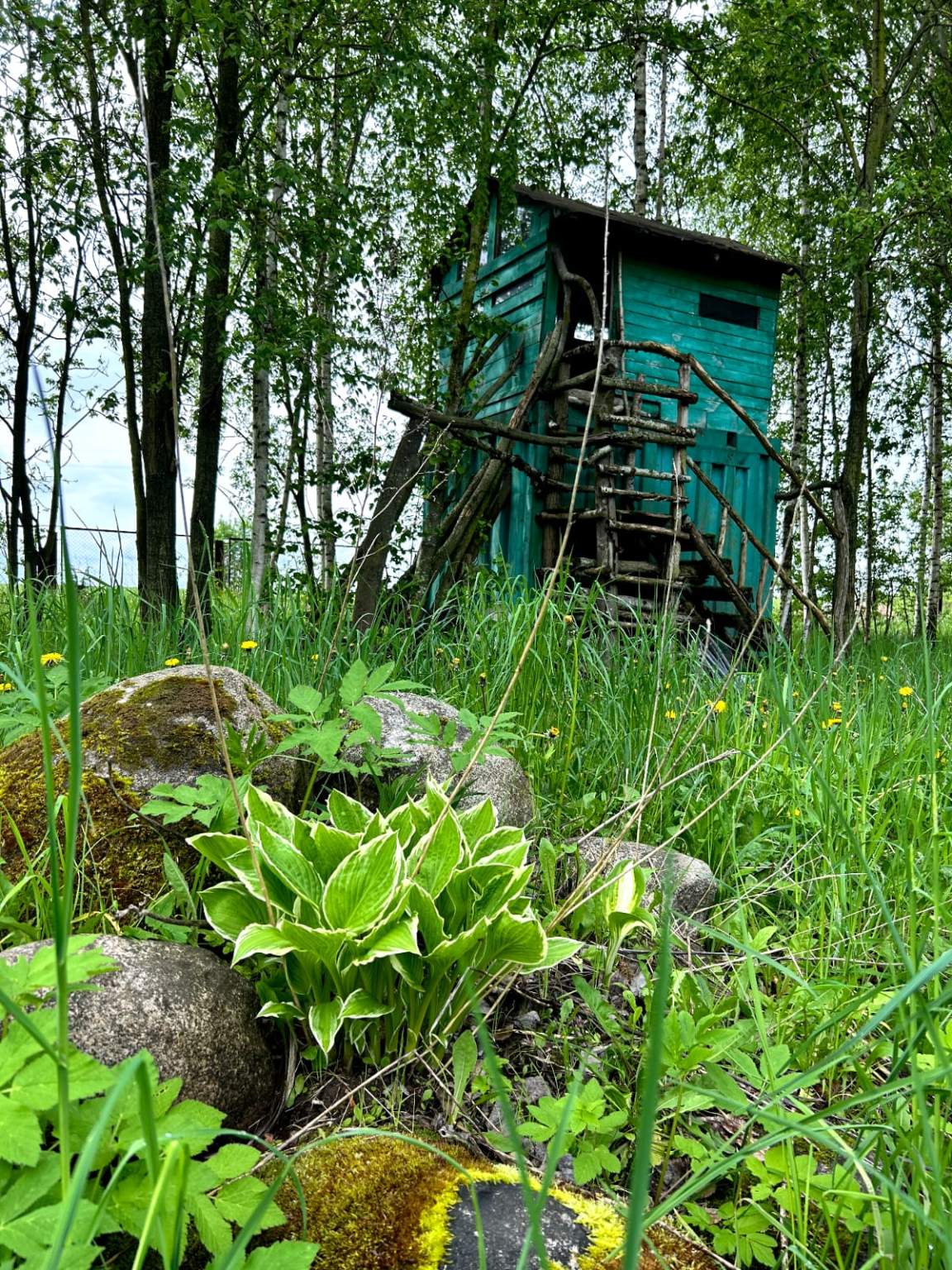 Участок на продажу в Задолье фото №10