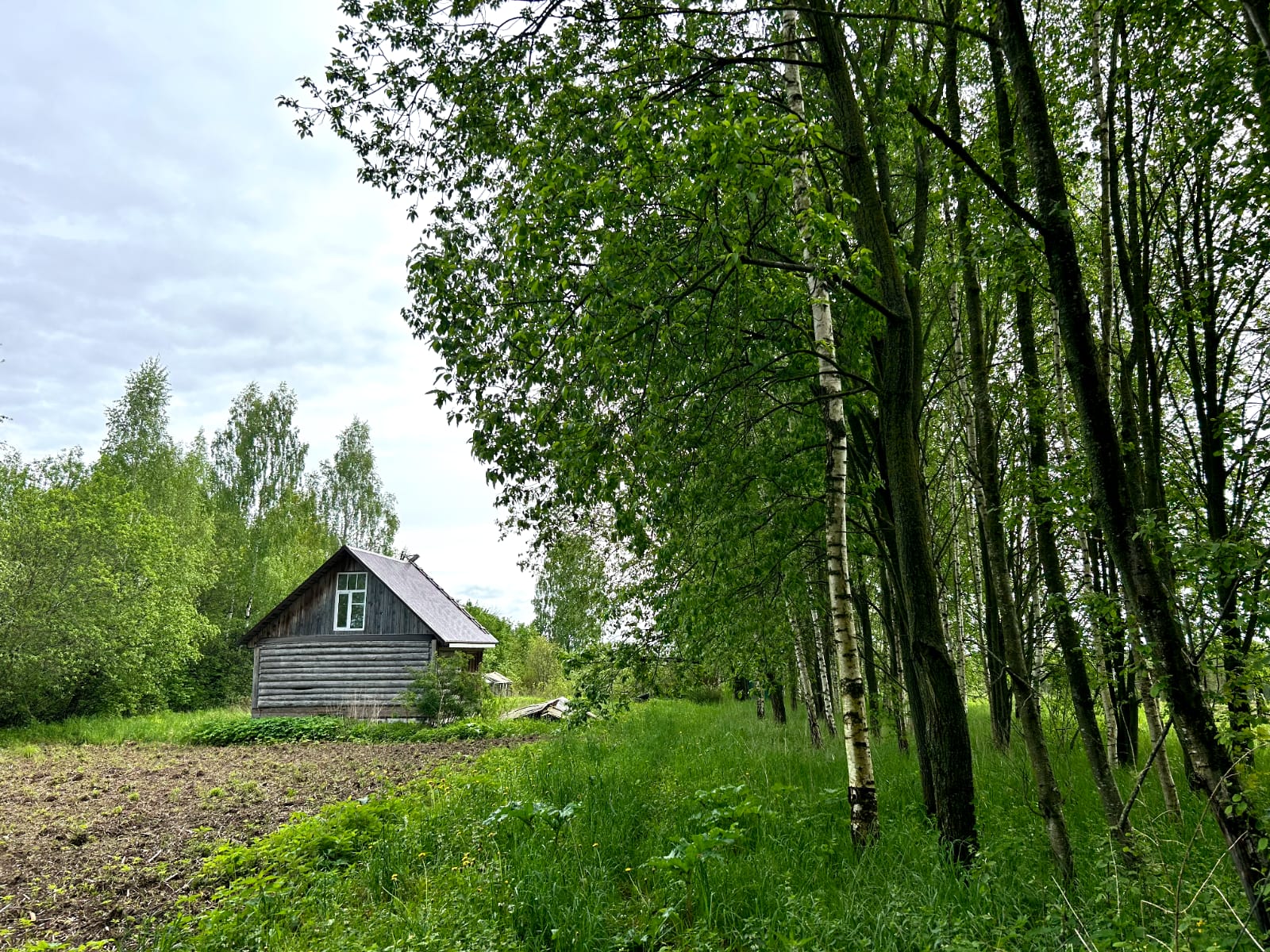 Участок на продажу в Задолье фото №4