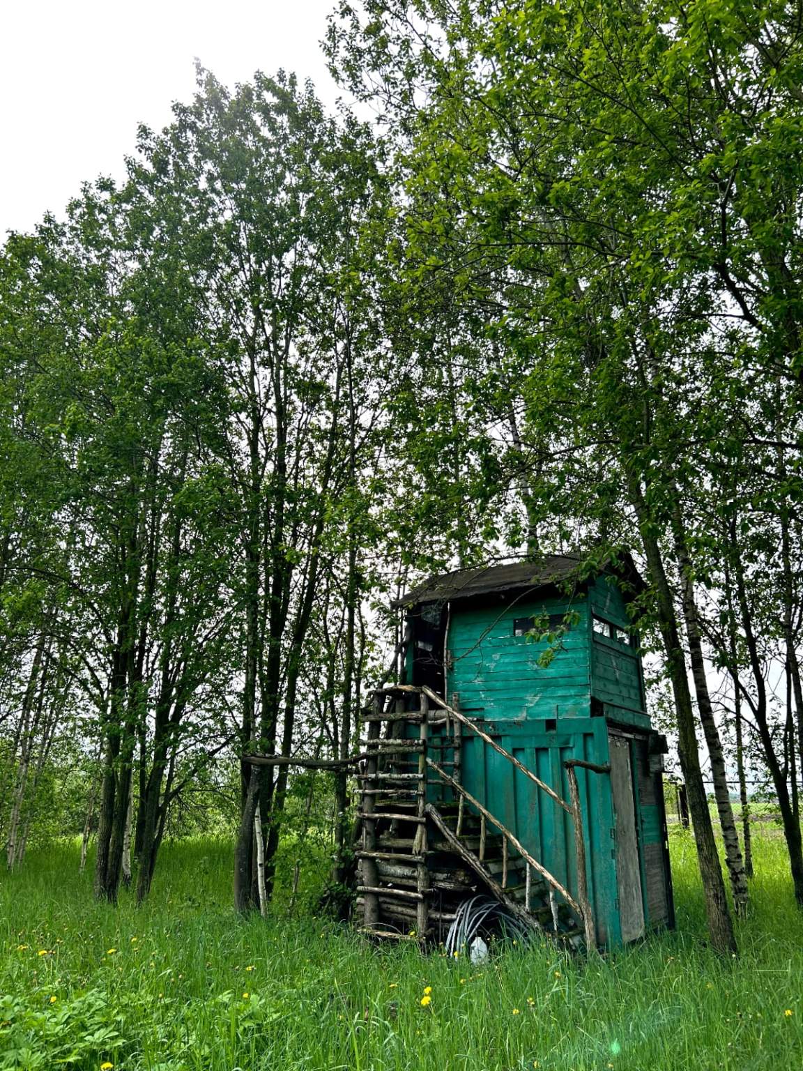 Участок на продажу в Задолье фото №11