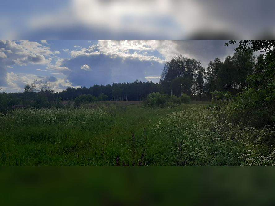 Участок на продажу в Гавриловке фото №4