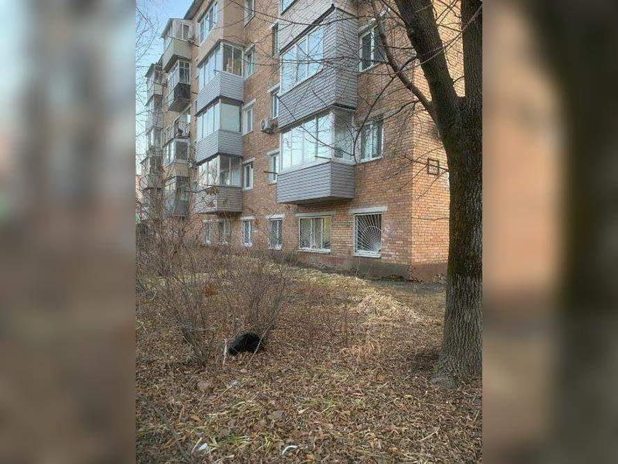 Квартира на продажу в Владивостке, Русская улица, 60 фото №3