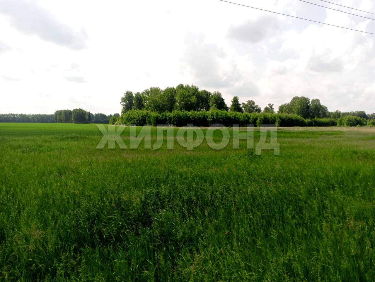 Продам земельный участок 32839 м.кв.
