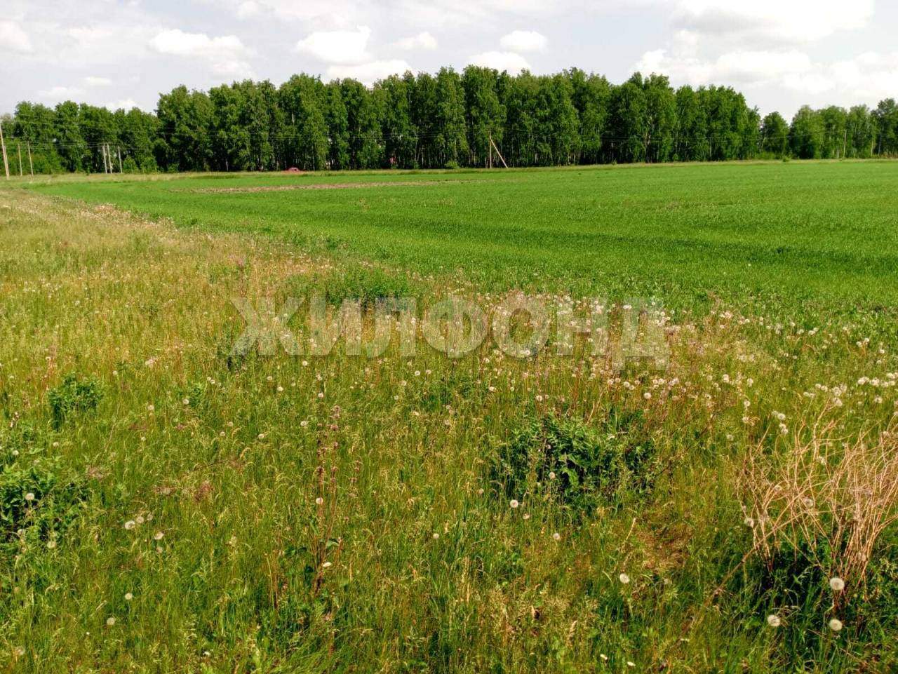 Продам земельный участок 32839 м.кв.