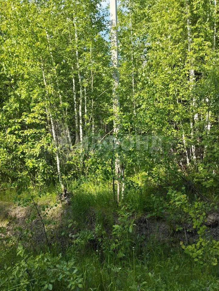 Продам земельный участок 704 м.кв.