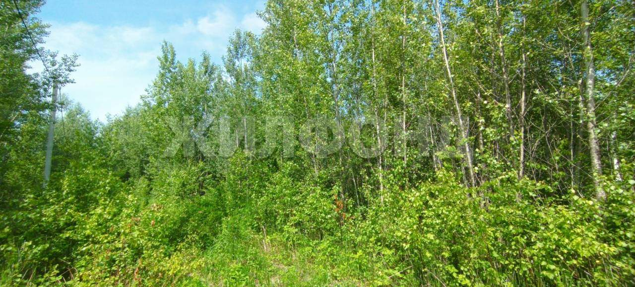 Продам земельный участок 1002 м.кв.