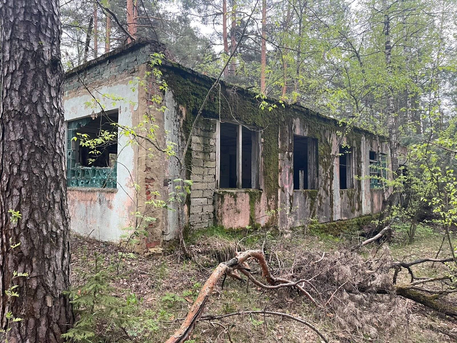 Продам торговое помещение 1050 м.кв.