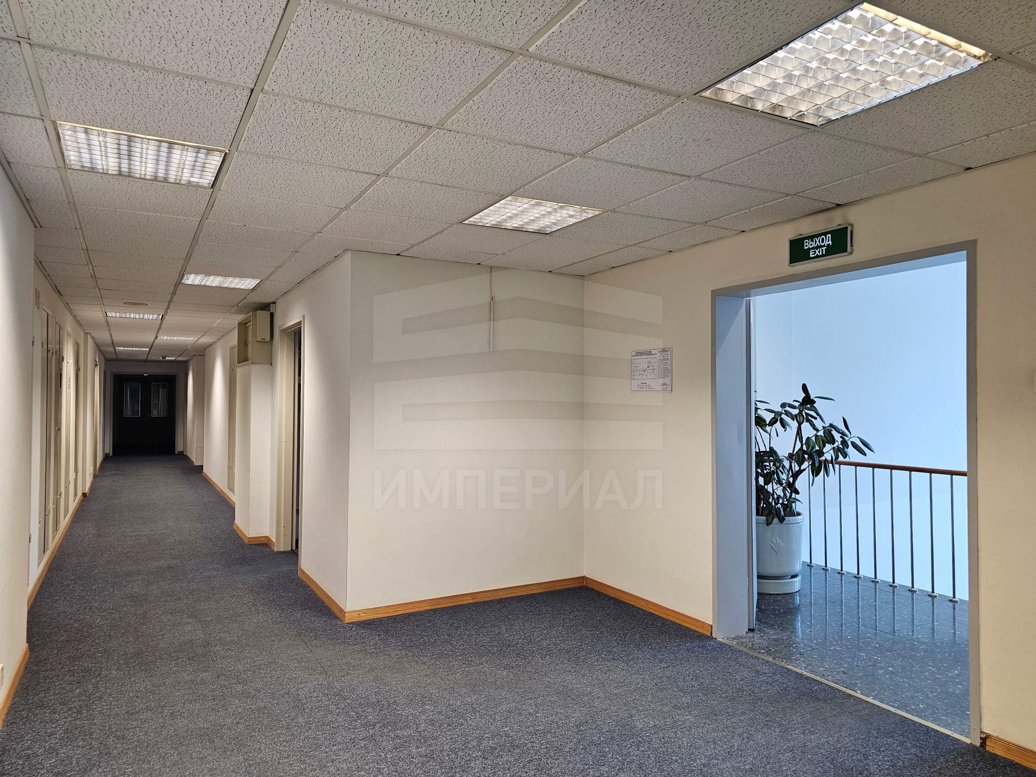 Фото: Аренда ПСН площадью 1 209,3 м2 test