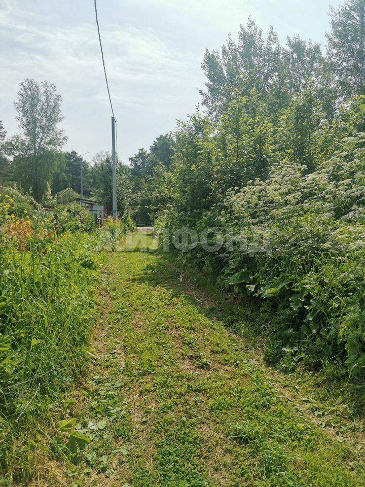 Участок на продажу в посёлке Синий Утёс (сдт Синий Утес ( Синий Утес) тер), Дачная улица фото №14
